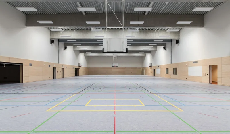 Elementary school and gym